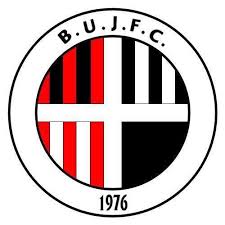 Birstall United Juniors Football Club badge