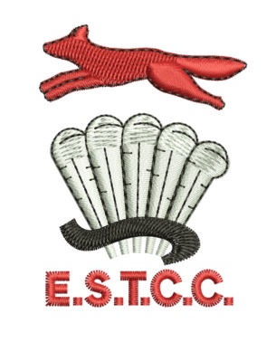 Earl Shilton Town Cricket Club badge