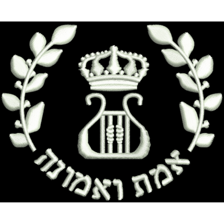 King David High School badge